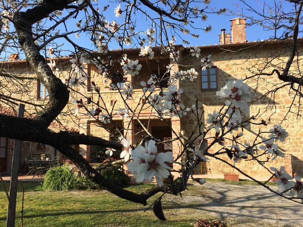 Agriturismo Podere San Gregorio Pienza Exteriör bild